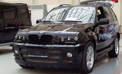 4 899 р. Комплект противотуманных фар в передний бампер Тарантул на BMW X5 E53 дорестайлинг (1999-2003)  с доставкой в г. Набережные‑Челны. Увеличить фотографию 2