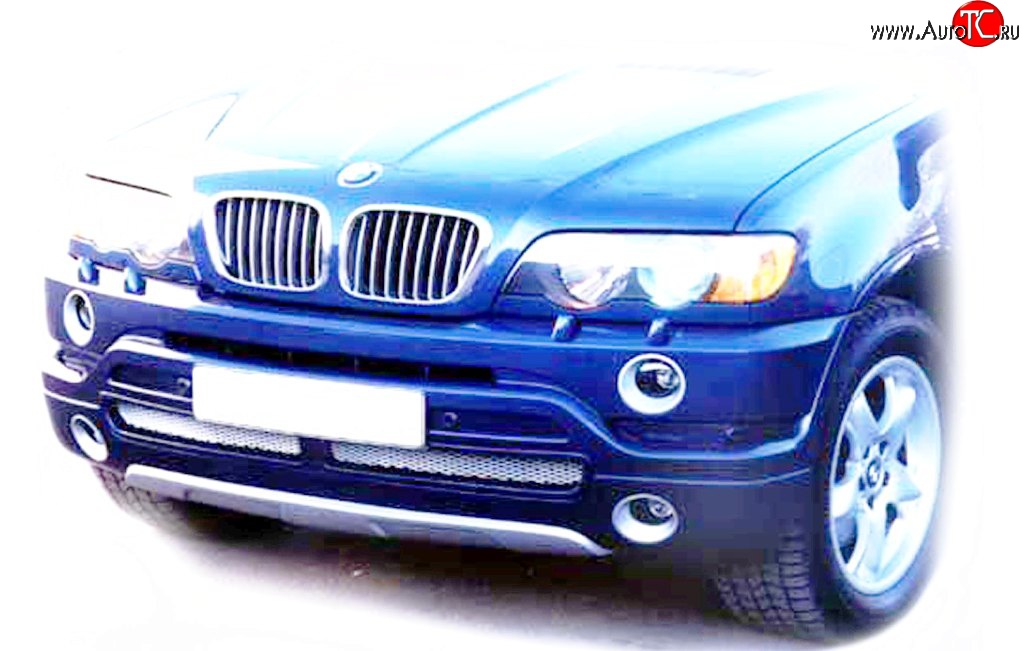 119 р. Накладка AS Concept на передний бампер BMW X5 E53 дорестайлинг (1999-2003) (Неокрашенная)  с доставкой в г. Набережные‑Челны