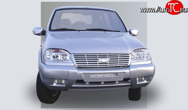 499 р. Накладки на зеркала Кураж 2 до 2005 года  Chevrolet Niva  2123 (2002-2008), Лада 2123 (Нива Шевроле) (2002-2008) (Неокрашенные)  с доставкой в г. Набережные‑Челны