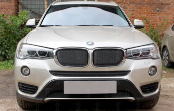 6 749 р. Защитная сетка решетки радиатора Стрелка 11 Премиум (алюминий)  BMW X3  F25 (2014-2017) рестайлинг (Цвет: черный)  с доставкой в г. Набережные‑Челны. Увеличить фотографию 1