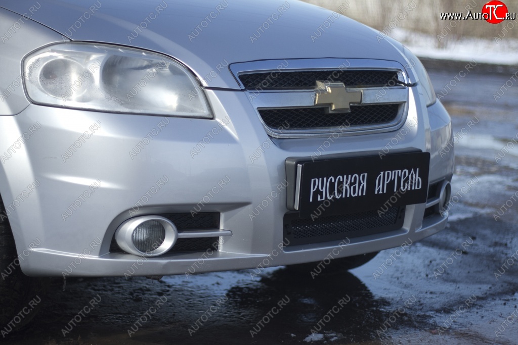 1 039 р. Защитная сетка решетки переднего бампера RA Chevrolet Aveo T250 седан рестайлинг (2006-2011)  с доставкой в г. Набережные‑Челны