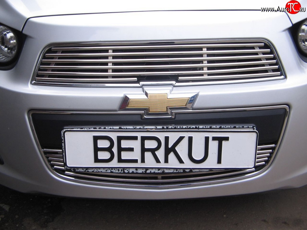 3 999 р. Декоративная вставка воздухозаборника Berkut Chevrolet Aveo T300 седан (2011-2015)  с доставкой в г. Набережные‑Челны