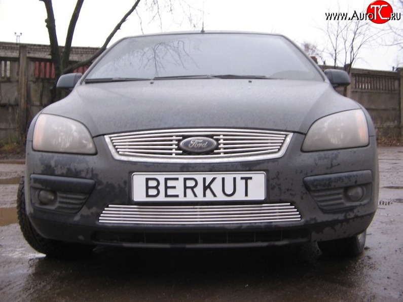 4 999 р. Декоративная вставка решетки радиатора Berkut Ford Focus 2 хэтчбэк 3 дв. дорестайлинг (2004-2007)  с доставкой в г. Набережные‑Челны