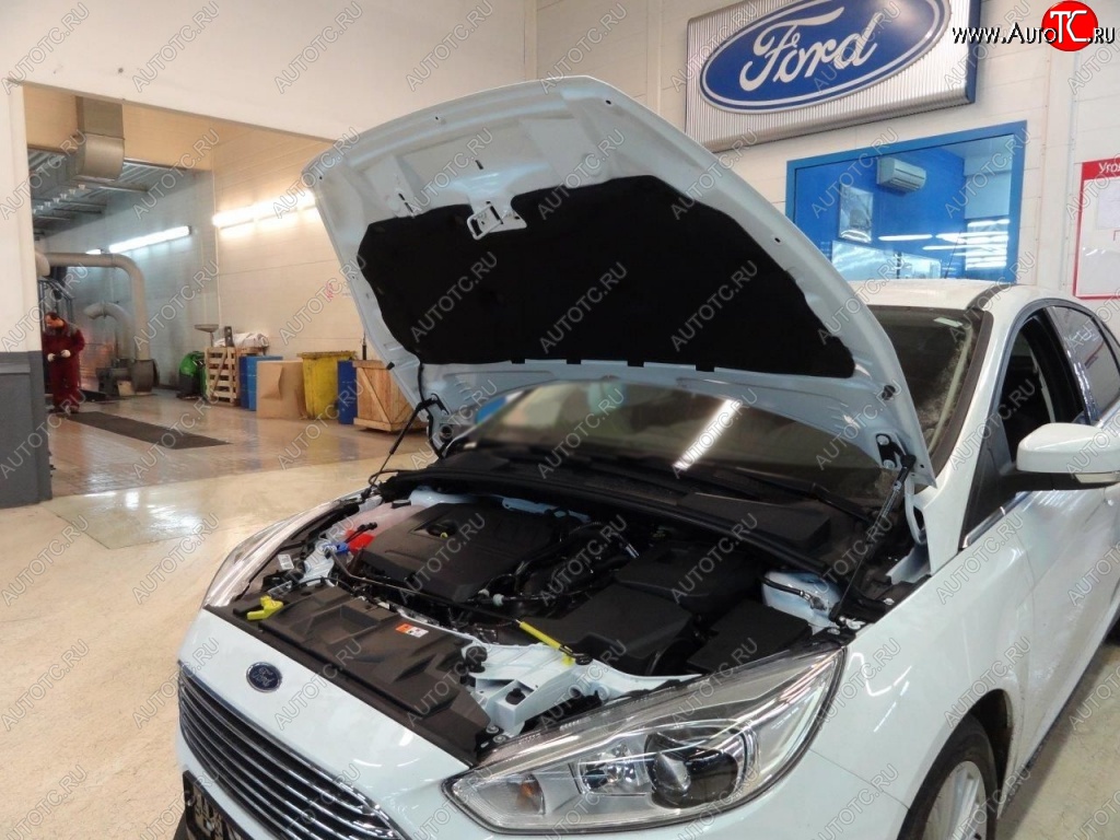 2 199 р. Газовые упоры капота Berkut Ford Focus 3 хэтчбэк дорестайлинг (2010-2015)  с доставкой в г. Набережные‑Челны