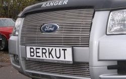 Декоративная вставка решетки радиатора Berkut Ford Ranger (2006-2009)