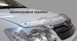 1 459 р. Защита фар CA-Plastik Honda CR-V RE1,RE2,RE3,RE4,RE5,RE7 дорестайлинг (2007-2010) (Цвет: прозрачный)  с доставкой в г. Набережные‑Челны. Увеличить фотографию 6