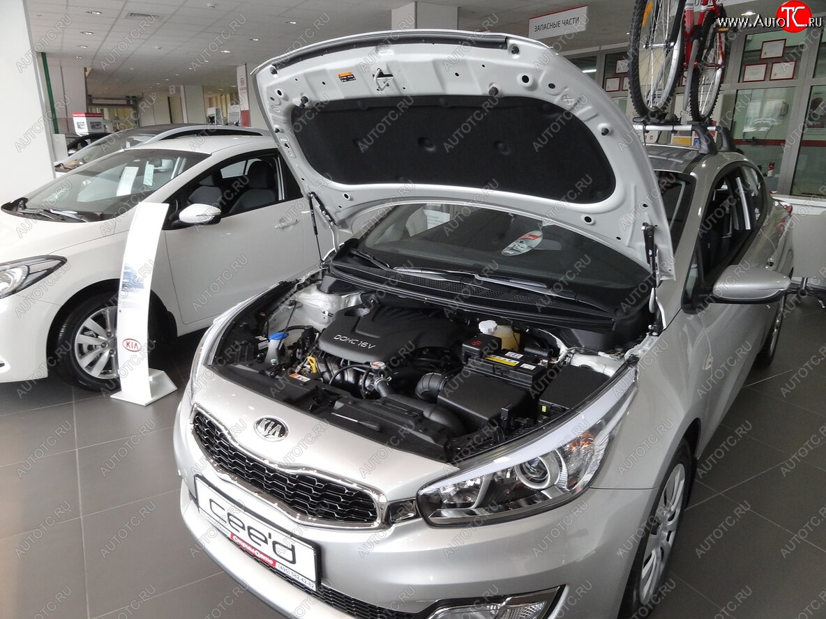 2 049 р. Упоры капота Russtal KIA Ceed 2 JD дорестайлинг, хэтчбэк (2012-2015)  с доставкой в г. Набережные‑Челны