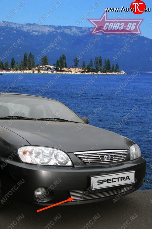 4 049 р. Декоративный элемент воздухозаборника Souz-96 (d10) KIA Spectra (2000-2009)  с доставкой в г. Набережные‑Челны