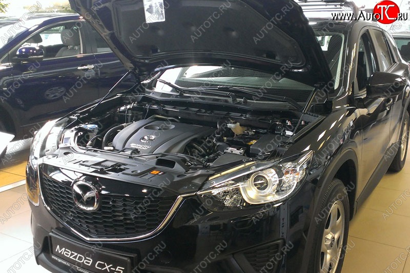 2 199 р. Газовые упоры капота Berkut Mazda CX-5 KE дорестайлинг (2011-2014)  с доставкой в г. Набережные‑Челны