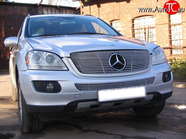 9 399 р. Декоративная вставка решетки радиатора Berkut Mercedes-Benz ML class W164 дорестайлинг (2005-2008)  с доставкой в г. Набережные‑Челны