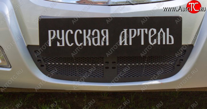 1 769 р. Защитная сетка решетки переднего бампера РА  Nissan Almera Classic  седан (2006-2013) B10  с доставкой в г. Набережные‑Челны