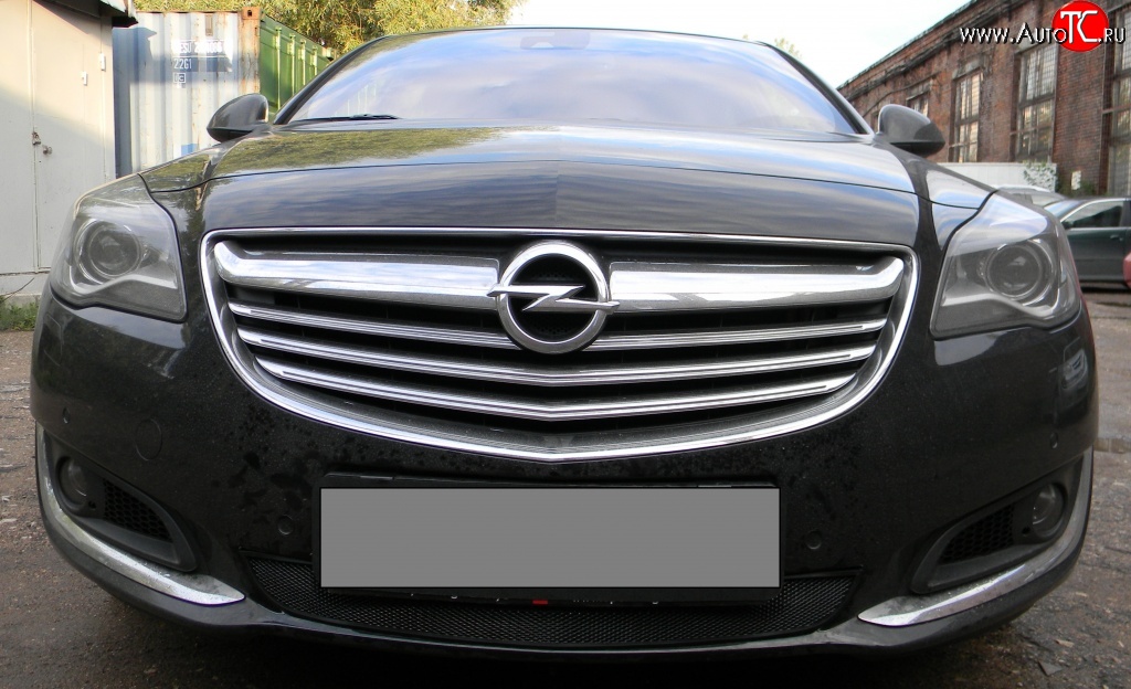 1 469 р. Сетка на бампер (рестайлинг) Russtal (черная) Opel Insignia A универсал рестайлинг (2013-2017)  с доставкой в г. Набережные‑Челны