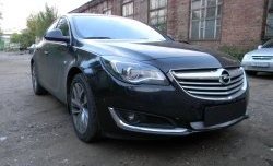 1 539 р. Сетка на бампер (рестайлинг) Russtal (хром) Opel Insignia A универсал рестайлинг (2013-2017)  с доставкой в г. Набережные‑Челны. Увеличить фотографию 2