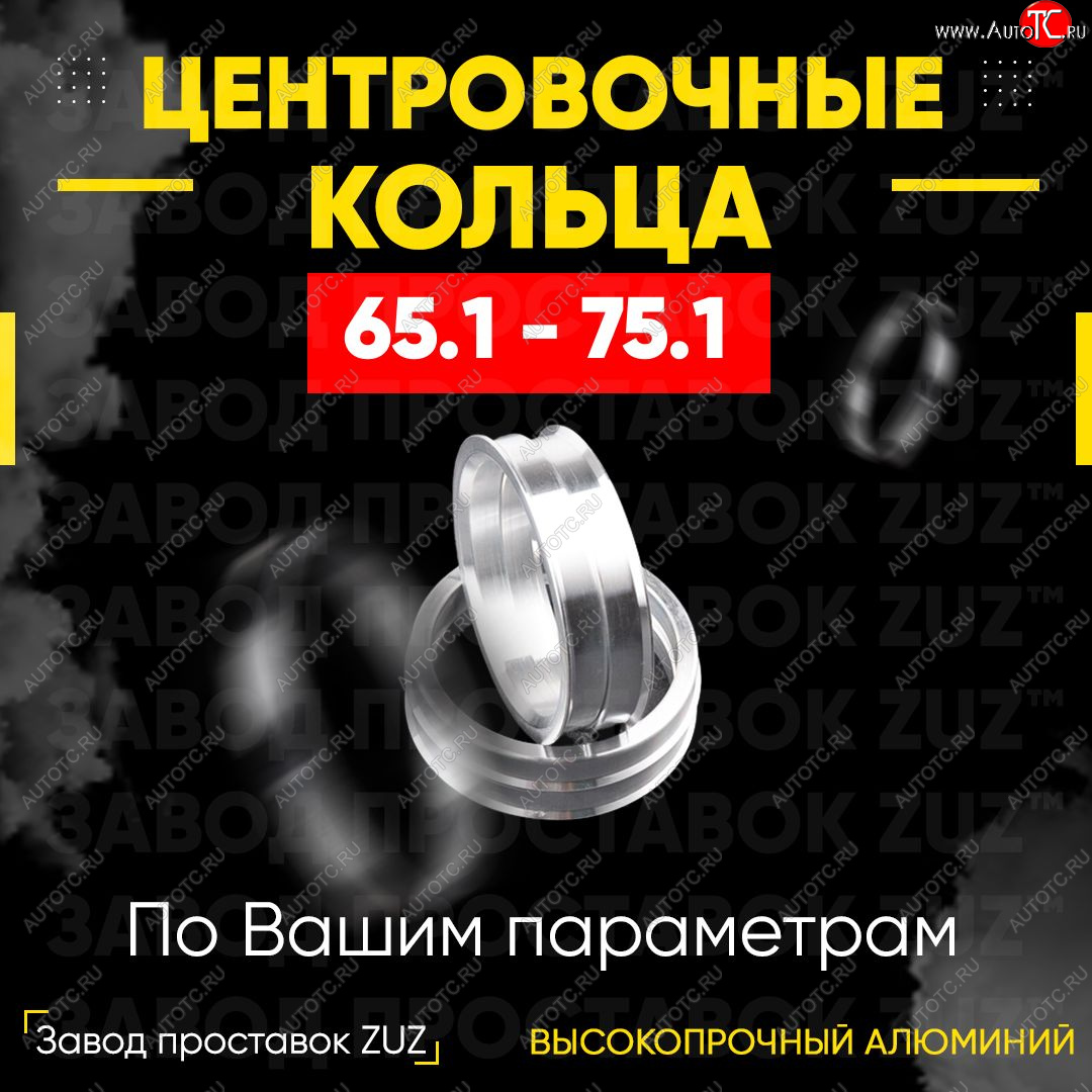 1 269 р. Алюминиевое центровочное кольцо (4 шт) ЗУЗ 65.1 x 75.1    с доставкой в г. Набережные‑Челны