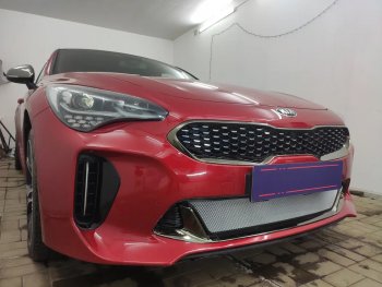 3 999 р. Защитная сетка в бампер (низ, ячейка 3х7 мм) Alfeco Стандарт  KIA Stinger (2017-2025) (Хром)  с доставкой в г. Набережные‑Челны. Увеличить фотографию 3