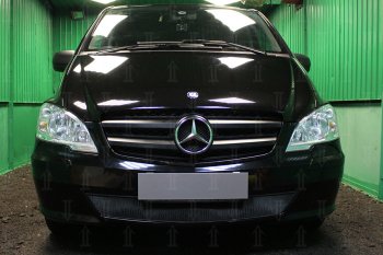 Защитная сетка в бампер (низ, ячейка 3х7 мм) Alfeco Стандарт Mercedes-Benz Vito W639 рестайлинг (2010-2014) ()