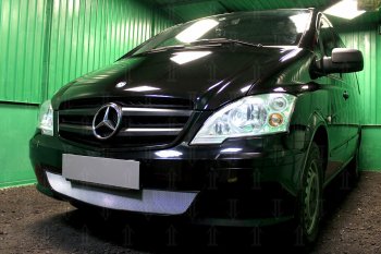 3 779 р. Защитная сетка в бампер (низ, ячейка 3х7 мм) Alfeco Стандарт Mercedes-Benz Vito W639 рестайлинг (2010-2014) (Хром)  с доставкой в г. Набережные‑Челны. Увеличить фотографию 3