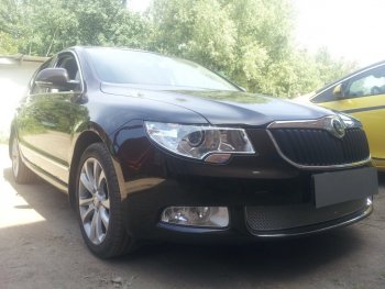 4 299 р. Защитная сетка в бампер (низ, ячейка 4х10 мм) Стрелка11 Премиум Skoda Superb B6 (3T) лифтбэк дорестайлинг (2008-2013) (Хром)  с доставкой в г. Набережные‑Челны. Увеличить фотографию 2