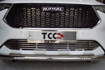 Защита передняя нижняя короткая с ДХО 60,3 мм ТСС Тюнинг Haval F7  дорестайлинг (2018-2022) ()