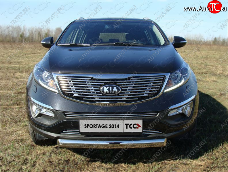 2 899 р. Средняя декоративная вставка в бампер ТСС Тюнинг  KIA Sportage  3 SL (2014-2016) рестайлинг (d 12 мм)  с доставкой в г. Набережные‑Челны