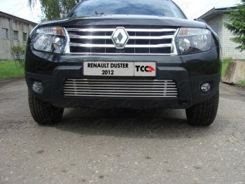 Декоративная вставка переднего бампера ТСС Тюнинг Renault Duster HS дорестайлинг (2010-2015) ()