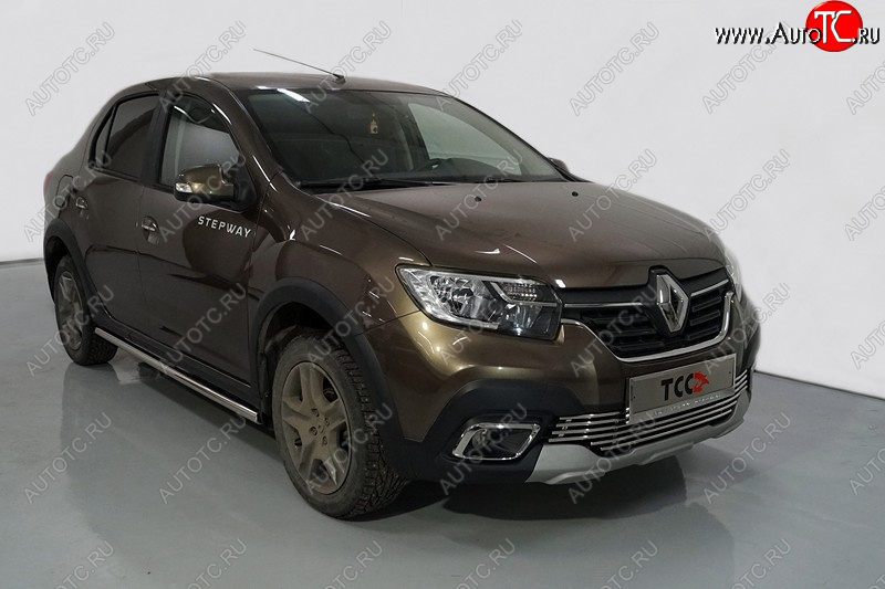 20 749 р. Защита порогов труба d42,4 мм ТСС Тюнинг  Renault Logan Stepway (2018-2024) (серые)  с доставкой в г. Набережные‑Челны