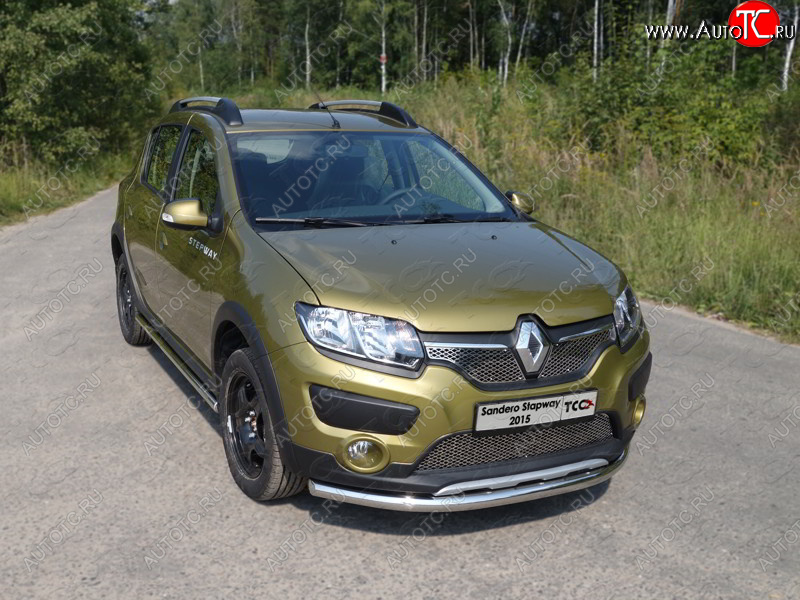 15 549 р. Защита переднего бампера нижняя d60,3 мм ТСС Тюнинг  Renault Sandero Stepway  (B8) (2014-2018) дорестайлинг (нержавейка)  с доставкой в г. Набережные‑Челны