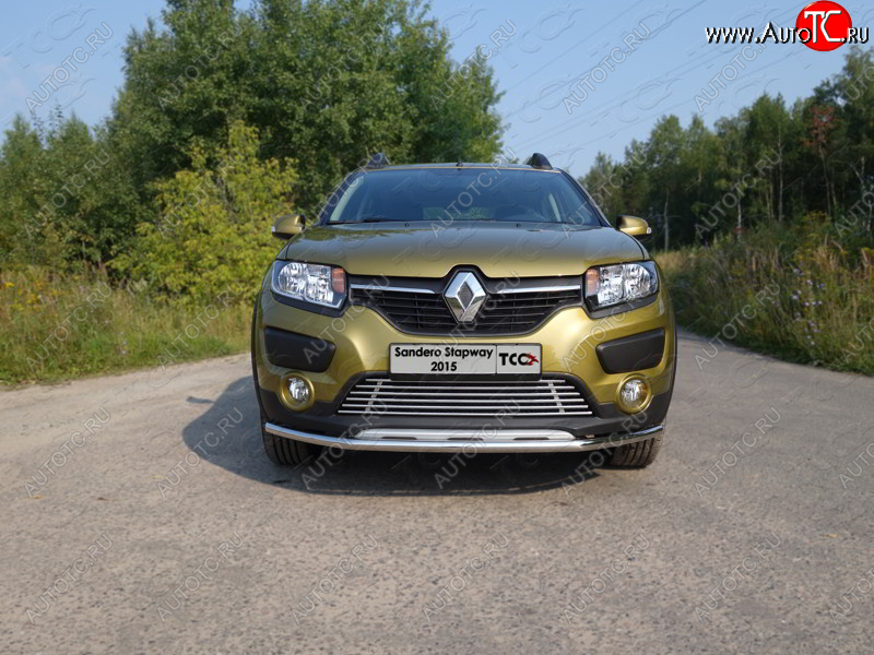 7 699 р. Нижняя декоративная вставка в бампер ТСС Тюнинг  Renault Sandero Stepway  (B8) (2014-2018) дорестайлинг (d 12 мм)  с доставкой в г. Набережные‑Челны