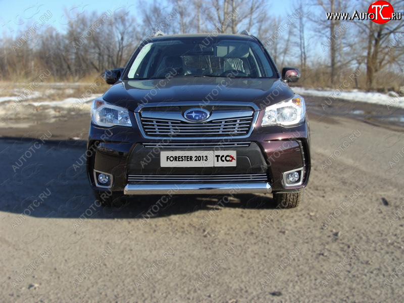 4 299 р. Нижняя декоративная вставка в бампер (спорт) ТСС Тюнинг Subaru Forester SJ дорестайлинг (2012-2016) (d 12 мм)  с доставкой в г. Набережные‑Челны