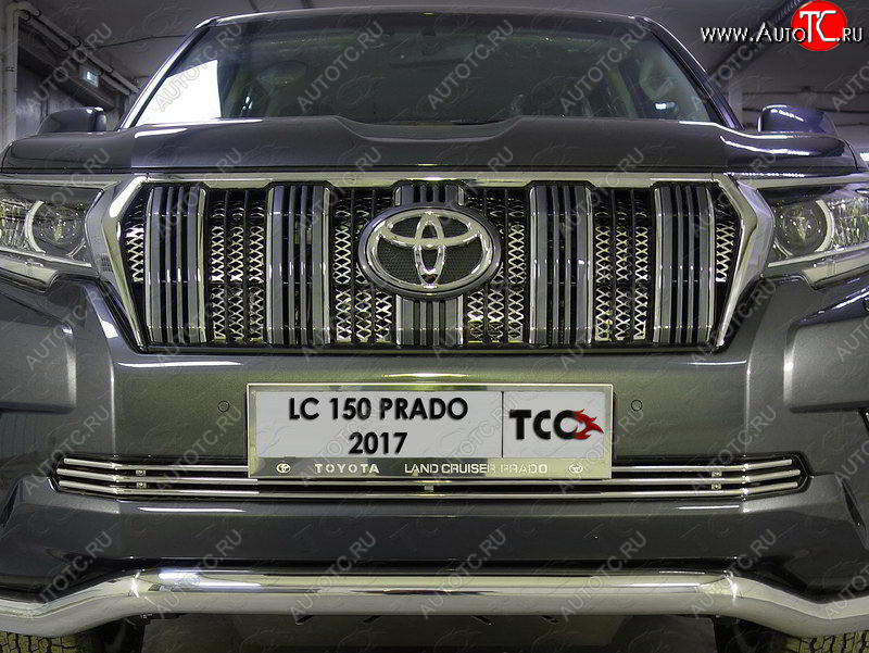 7 699 р. Нижняя декоративная вставка в бампер ТСС Тюнинг  Toyota Land Cruiser Prado  J150 (2017-2020) 2-ой рестайлинг (d 12 мм)  с доставкой в г. Набережные‑Челны