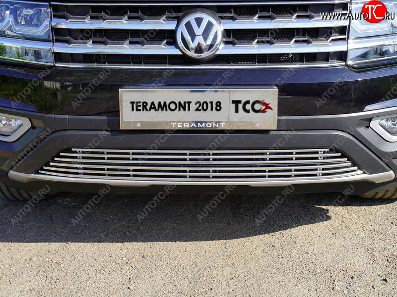 9 349 р. Нижняя декоративная вставка в бампер ТСС Тюнинг  Volkswagen Teramont  CA1 (2016-2020) дорестайлинг (d 12 мм)  с доставкой в г. Набережные‑Челны