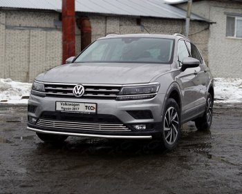 Защита переднего бампера нижняя d42,4 мм ТСС Тюнинг Volkswagen Tiguan Mk2 дорестайлинг (2016-2020) ()