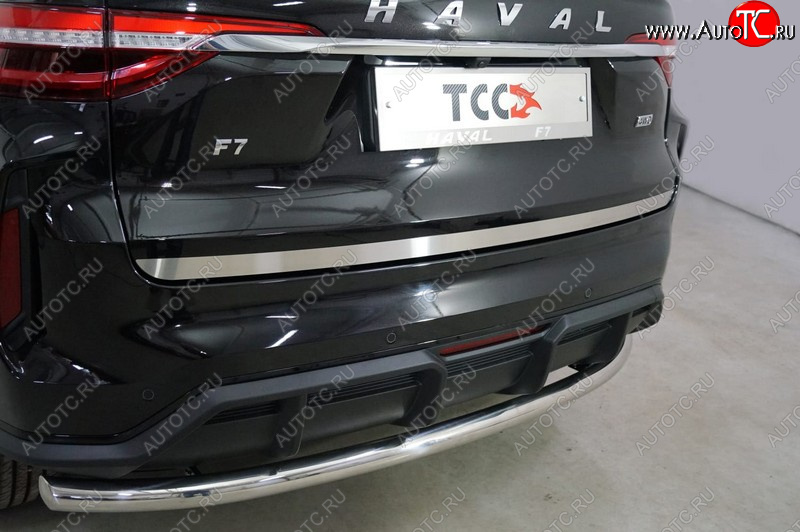 2 199 р. Накладка на заднюю дверь, ТСС Тюнинг  Haval F7 (2022-2024) рестайлинг (Лист шлифованный)  с доставкой в г. Набережные‑Челны