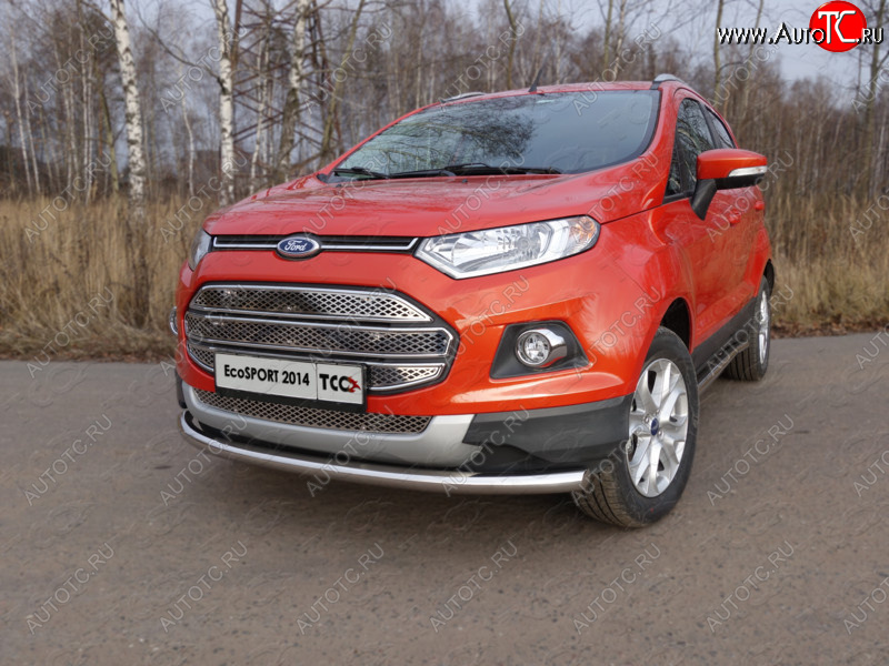 12 999 р. Защита переднего бампера нижняя d60,3 мм ТСС Тюнинг  Ford EcoSport (2013-2019) дорестайлинг (нержавейка)  с доставкой в г. Набережные‑Челны