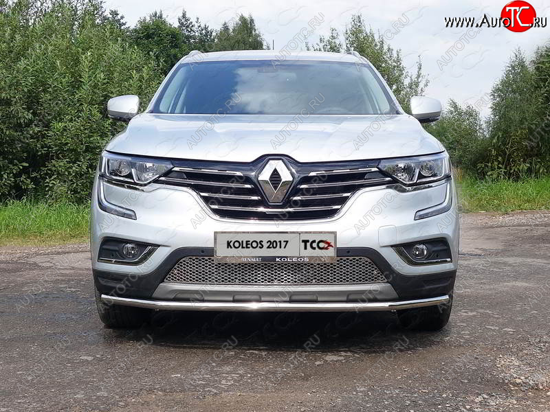 6 449 р. Рамка гос. номера ТСС Тюнинг Renault Koleos 2 (2016-2024) (нержавейка)  с доставкой в г. Набережные‑Челны