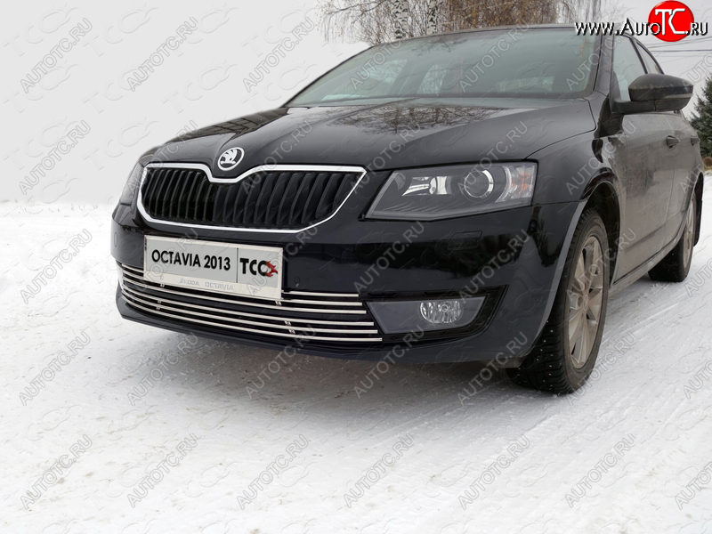 6 449 р. Рамка гос. номера ТСС Тюнинг Skoda Octavia A7 дорестайлинг лифтбэк (2012-2017) (нержавейка)  с доставкой в г. Набережные‑Челны