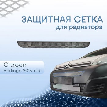 2 299 р. Защитная сетка в бампер (верх, ячейка 3х7 мм) Alfeco Стандарт  CITROEN Berlingo  B9 (2015-2022) рестайлинг (Хром)  с доставкой в г. Набережные‑Челны. Увеличить фотографию 1