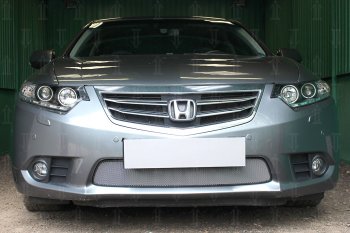 Защитная сетка в бампер (низ, ячейка 3х7 мм) Alfeco Стандарт Honda (Хонда) Accord (Аккорд)  9 CR (2013-2016) 9 CR седан дорестайлинг