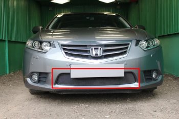 Защитная сетка в бампер (низ, ячейка 3х7 мм) Alfeco Стандарт Honda (Хонда) Accord (Аккорд) ( 8 CU,  8 CW) (2011-2013) 8 CU, 8 CW седан рестайлинг, универсал рестайлинг