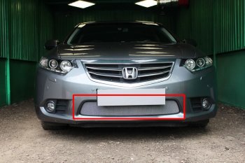 Защитная сетка в бампер (низ, ячейка 3х7 мм) Alfeco Стандарт Honda (Хонда) Accord (Аккорд) ( 8 CU,  8 CW) (2011-2013) 8 CU, 8 CW седан рестайлинг, универсал рестайлинг