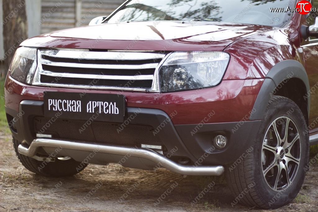 2 179 р. Защитная сетка решетки переднего бампера (c дхо и обвесом) РА  Renault Duster  HS (2010-2015) дорестайлинг  с доставкой в г. Набережные‑Челны