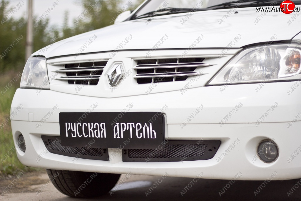 1 799 р. Защитная сетка решетки переднего бампера РА  Renault Logan  1 (2004-2010) дорестайлинг  с доставкой в г. Набережные‑Челны