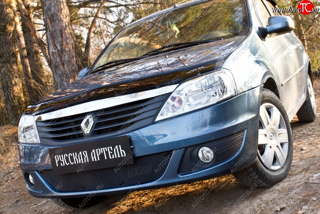 969 р. Защитная сетка решетки переднего бампера РА Renault Logan 1 рестайлинг (2010-2016)  с доставкой в г. Набережные‑Челны