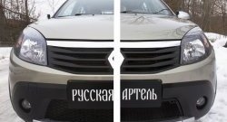 2 149 р. Защитная сетка решетки переднего бампера РА Renault Sandero Stepway (BS) (2010-2014)  с доставкой в г. Набережные‑Челны. Увеличить фотографию 2