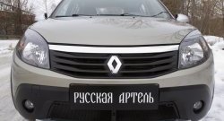 2 149 р. Защитная сетка решетки переднего бампера РА Renault Sandero Stepway (BS) (2010-2014)  с доставкой в г. Набережные‑Челны. Увеличить фотографию 3