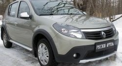 2 149 р. Защитная сетка решетки переднего бампера РА Renault Sandero Stepway (BS) (2010-2014)  с доставкой в г. Набережные‑Челны. Увеличить фотографию 4