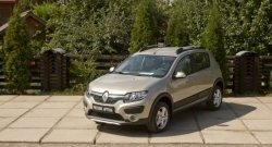 4 699 р. Молдинги дверей RA (комплект) Renault Sandero (B8) дорестайлинг (2014-2018) (Поверхность глянец (под окраску), Неокрашенные)  с доставкой в г. Набережные‑Челны. Увеличить фотографию 2