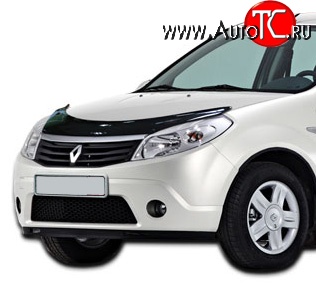 4 599 р. Дефлектор капота NovLine Renault Sandero Stepway (BS) (2010-2014)  с доставкой в г. Набережные‑Челны