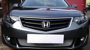 Защитная сетка радиатора в бампер (ячейка 3х7 мм) Стрелка11 Стандарт Honda (Хонда) Accord (Аккорд) ( CU,  CW) (2008-2011) CU, CW седан дорестайлинг, универсал дорестайлинг