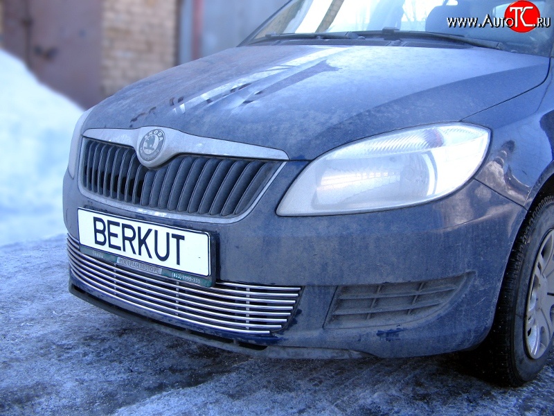 5 899 р. Декоративная вставка воздухозаборника Berkut Skoda Fabia Mk2 хэтчбэк дорестайлинг (2007-2010)  с доставкой в г. Набережные‑Челны